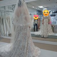 Veil Help - 1
