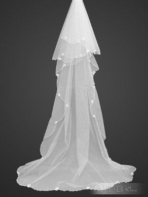 Ordered my dress today.. Need Veil help tho!!! (pic)
