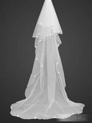 Ordered my dress today.. Need Veil help tho!!! (pic)