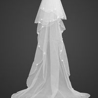 Ordered my dress today.. Need Veil help tho!!! (pic)