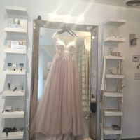 Has anyone flown with a wedding dress?