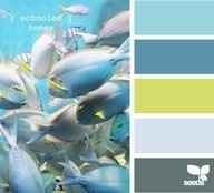 Colors help please AGAIN? Lol