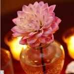 Help with a simple centerpiece!