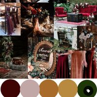 What are/were your wedding colors? - 1