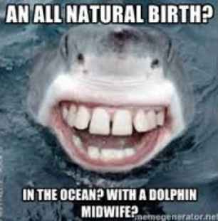 NWR: Ummmmmmmmm soooooooooooooo....I read this thought I would share......