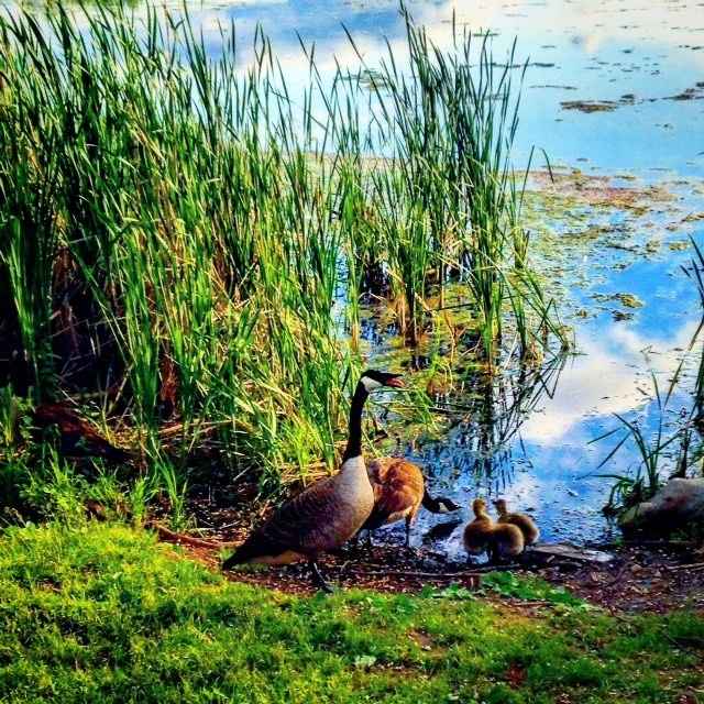 NWR - Prettiest picture of where you live.