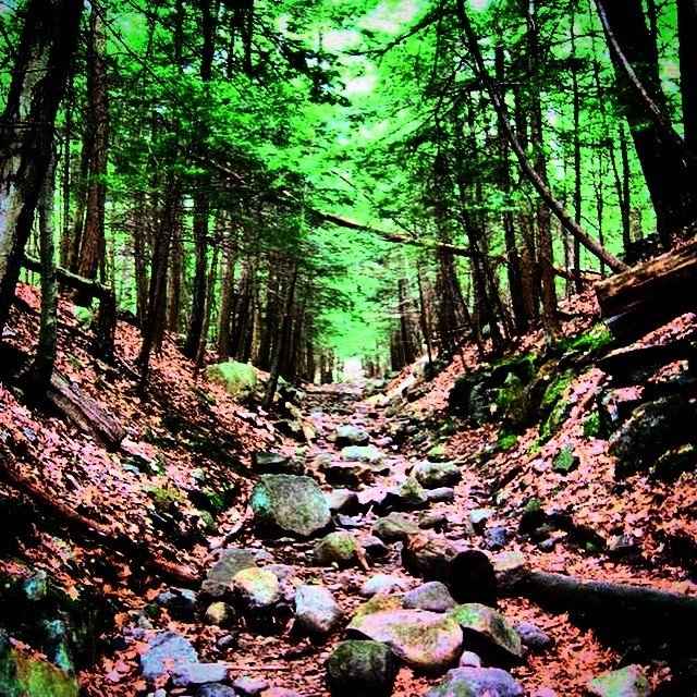 NWR - Prettiest picture of where you live.