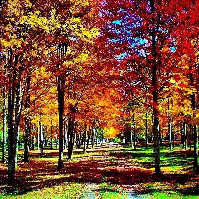 NWR - Prettiest picture of where you live.