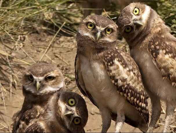 NWR: When adults can't adult. Vent.