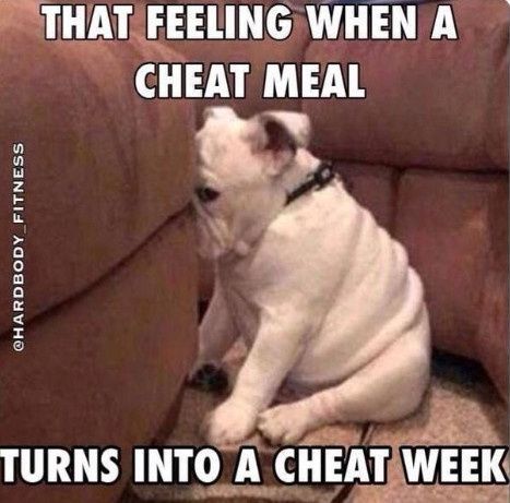 NWR: Tickled Tuesday