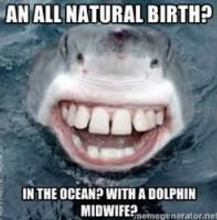 NWR: Ummmmmmmmm soooooooooooooo....I read this thought I would share......