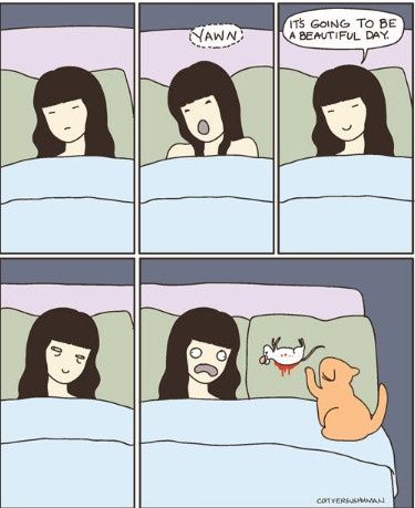 Meme!