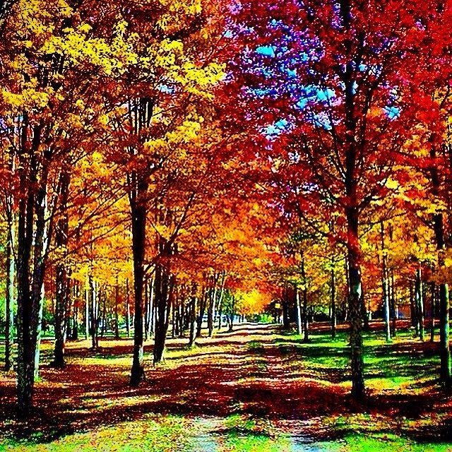 NWR - Prettiest picture of where you live.
