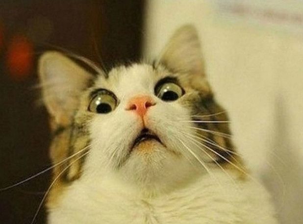 When you are WWing and NOT listening in on your conference call?