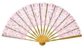Lace hand fans !!!
