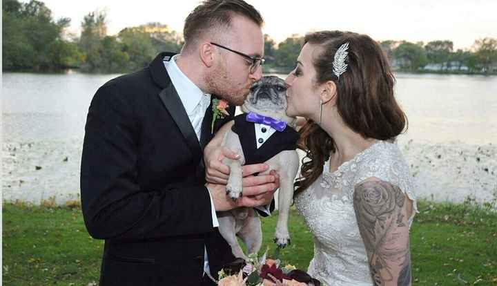 Show or no show on tattoos?