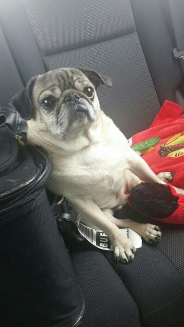 NWR: Puppy Friday!!