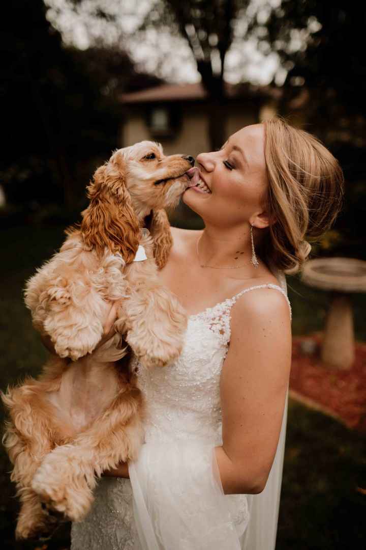Dog of Honor