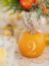 Pumpkin Carvings for my wedding next week?