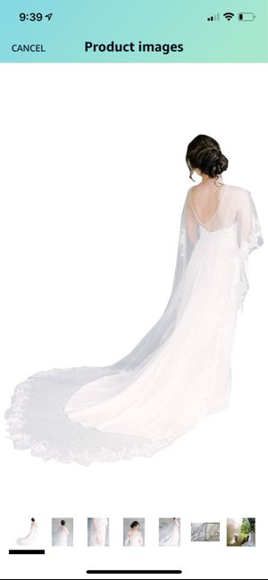 Bridal Cape Veil? 4