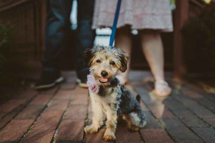 Show off your favorite engagement pictures - 2