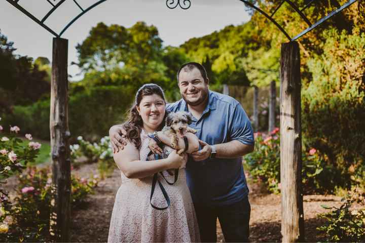 Sick dog. Post pretty things? - 4