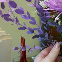 Introduction (flower help needed)