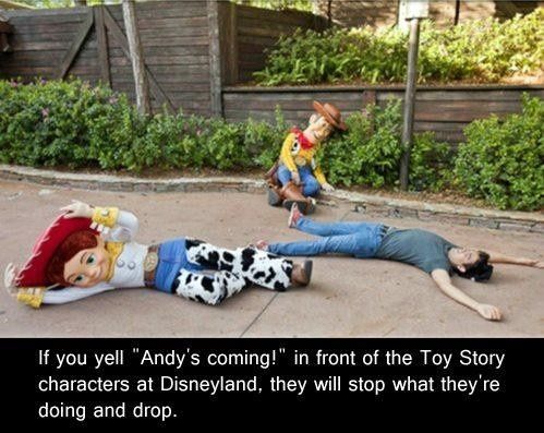 Disney World