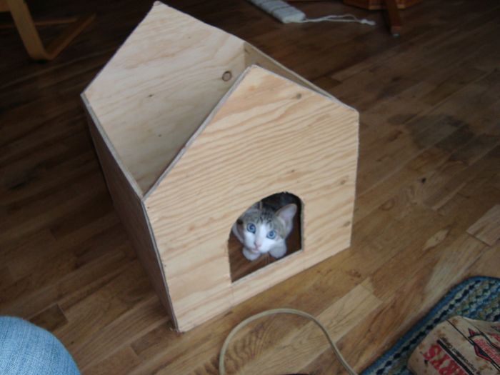 NWR DIY. Cat tree.