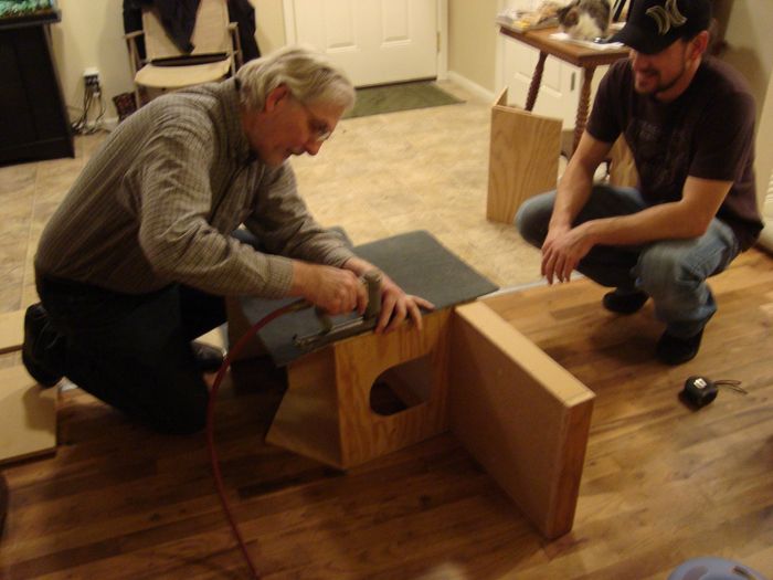 NWR DIY. Cat tree.