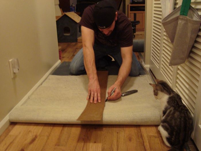NWR DIY. Cat tree.