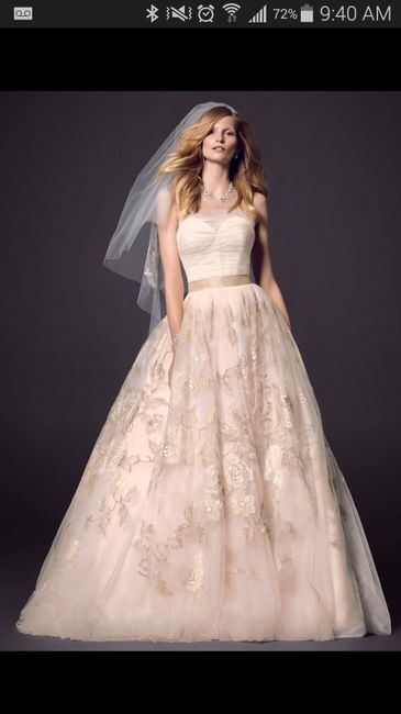 Ordered 4 dresses today - little crazy