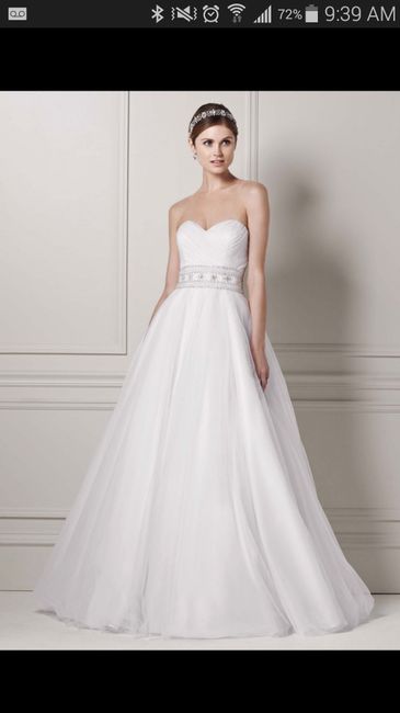 Ordered 4 dresses today - little crazy