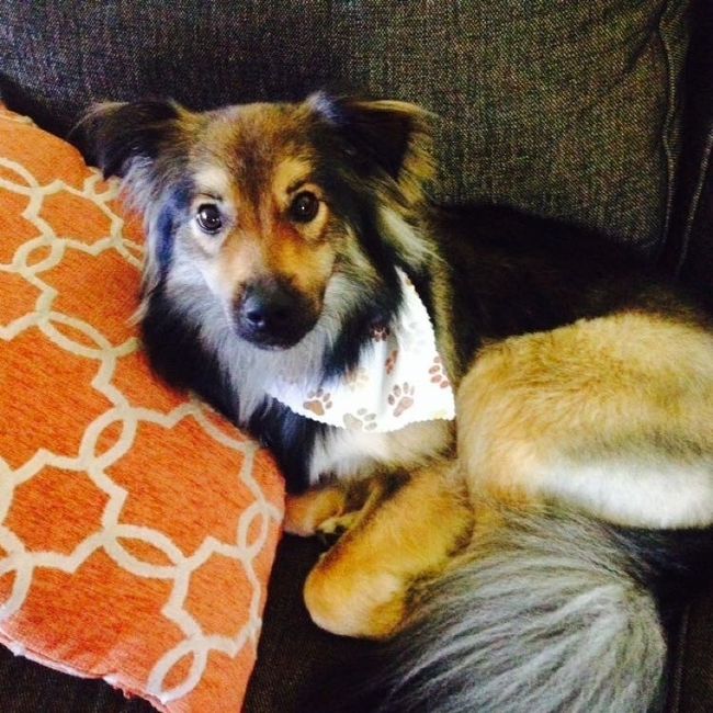 I LOVE my fur baby!
