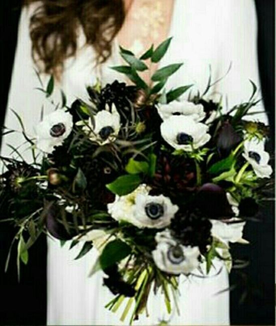 What flowers are these ?