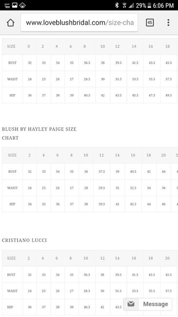  Hayley Paige Londyn Gown Sizing Help! - 1