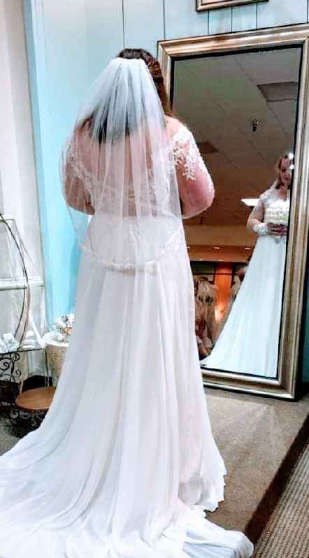 Your Veil: What, Where, How Much? - 1