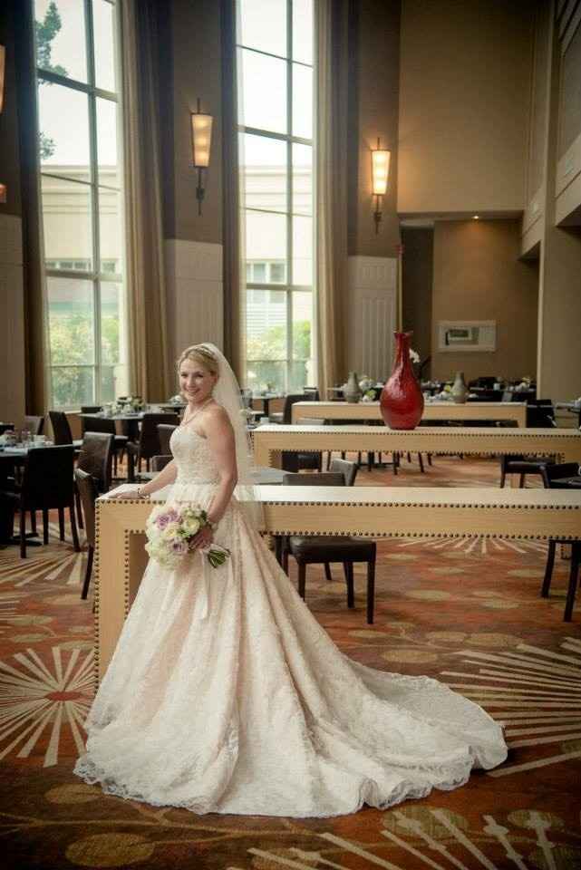 LET'S  SEE THE DRESSES