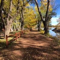 Would you rather... change your date or change your venue? - 1