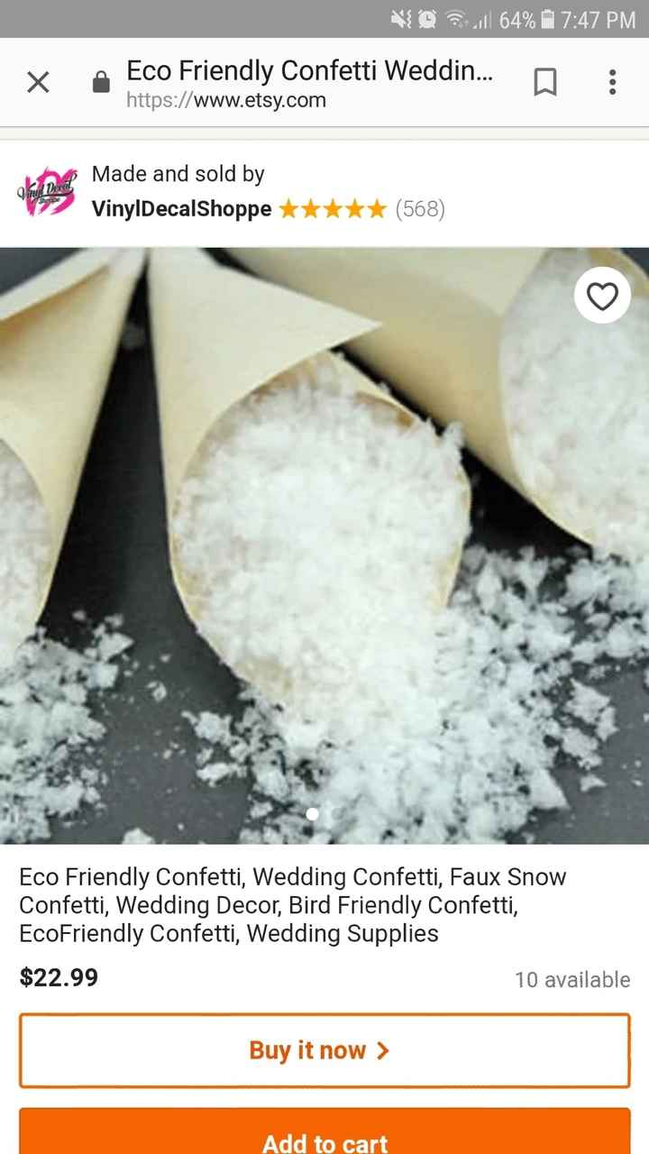 Send off for Winter Wedding - 1