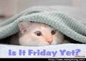 How are you today?