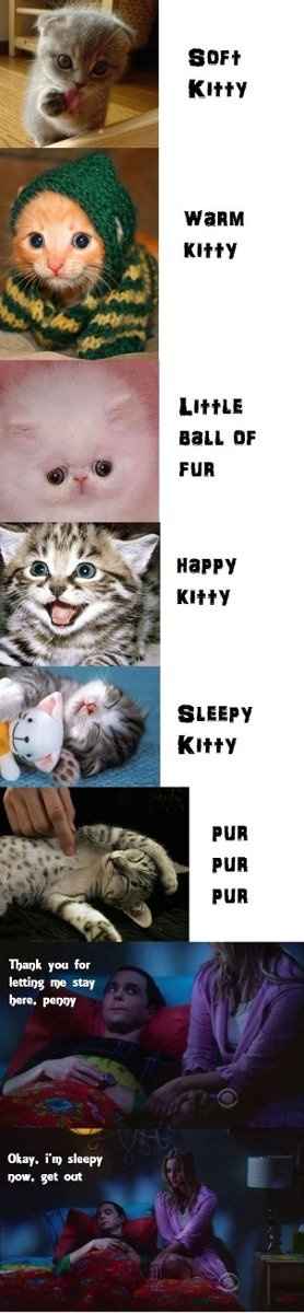 NWR: soft kitty