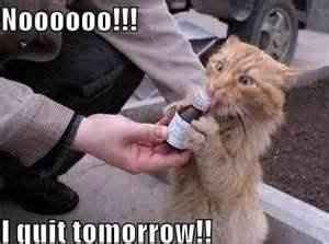 Finish the sentence:  You know your addicted to WW when...