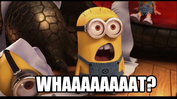 What, what!