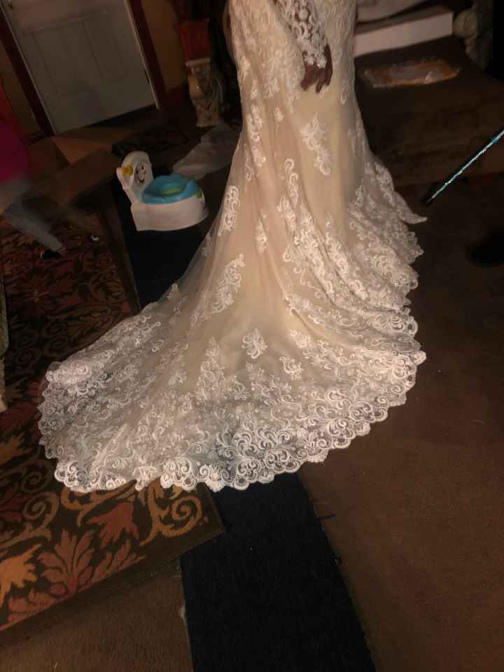 Anomalie Dress Photos - 2