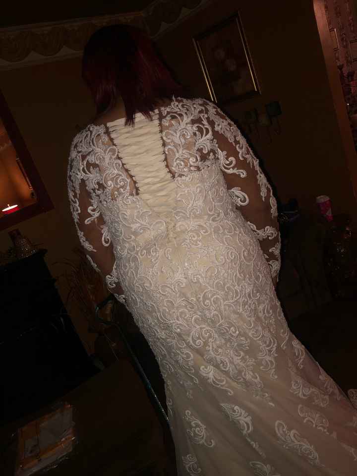 Anomalie Dress Photos - 4