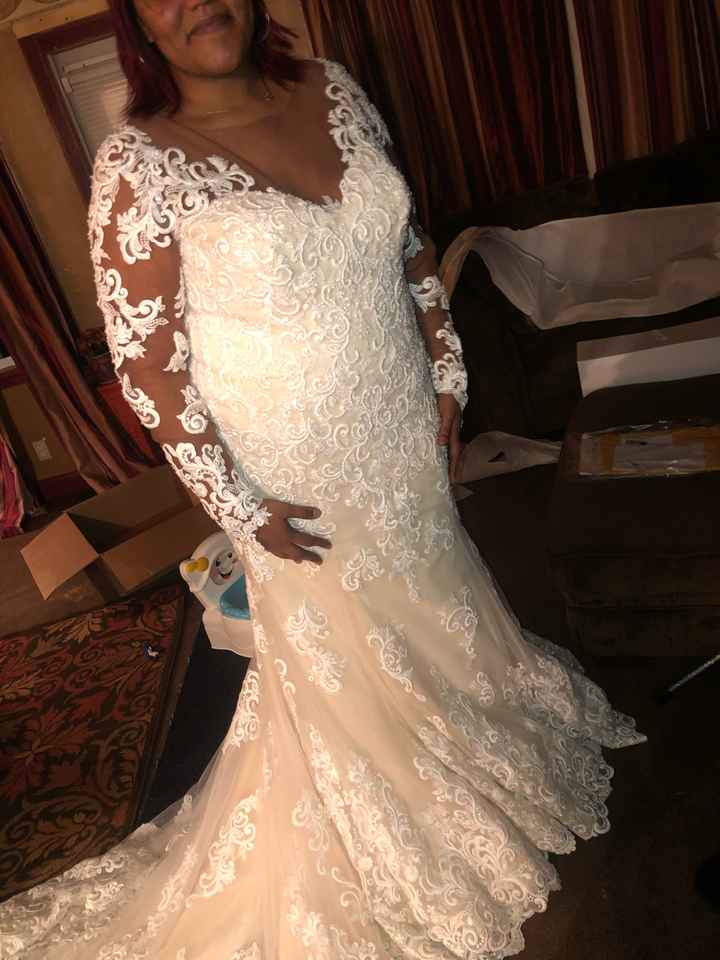 Anomalie Dress Photos - 5