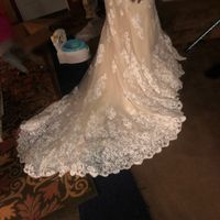 Anomalie Dress Photos - 2
