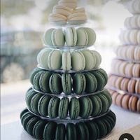 What are/were your wedding colors? - 1