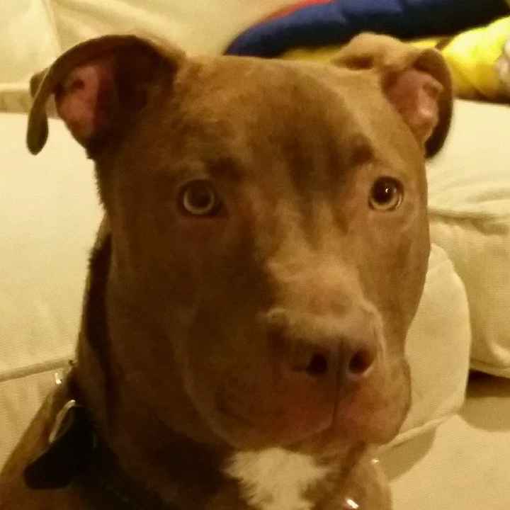 NWR: Show me your fur babies